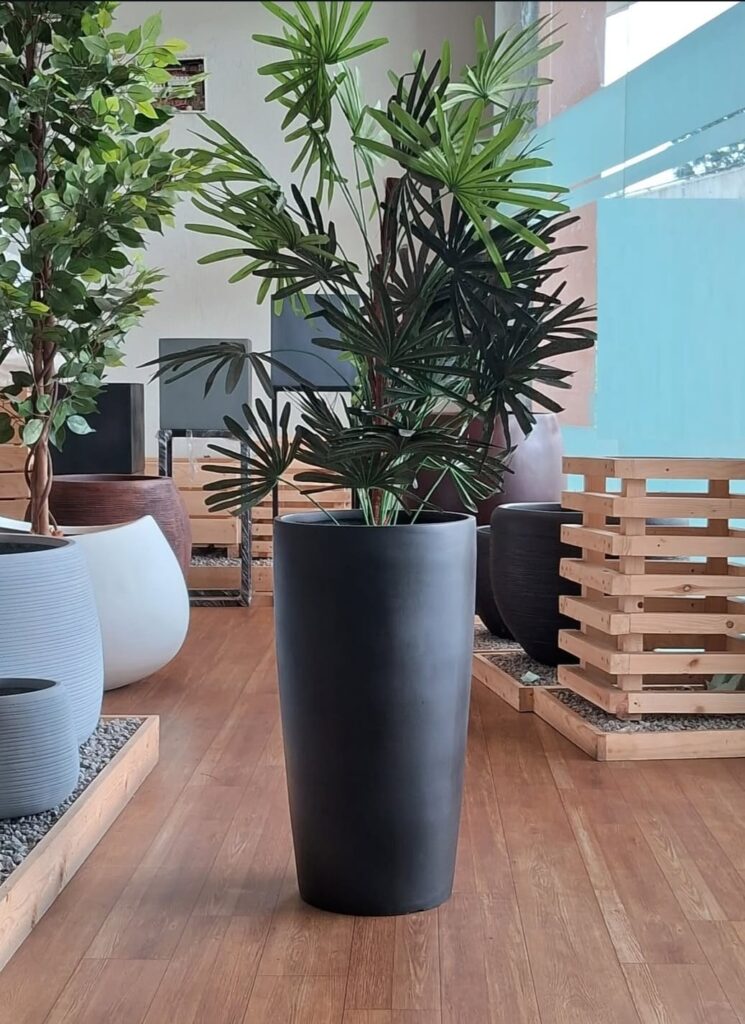 whatsapp image 2025 12 09 at 8.19.08 am