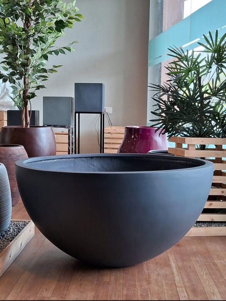 whatsapp image 2025 12 09 at 8.19.15 am