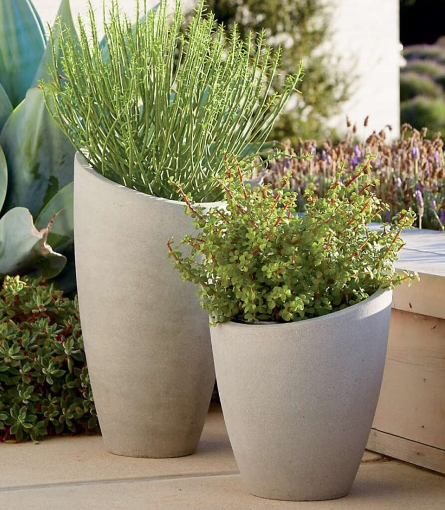 whatsapp image 2025 12 09 at 8.19.22 am