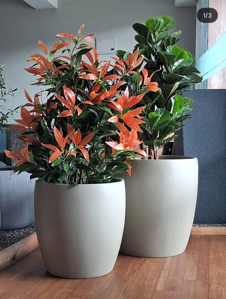 whatsapp image 2025 12 09 at 8.20.12 am