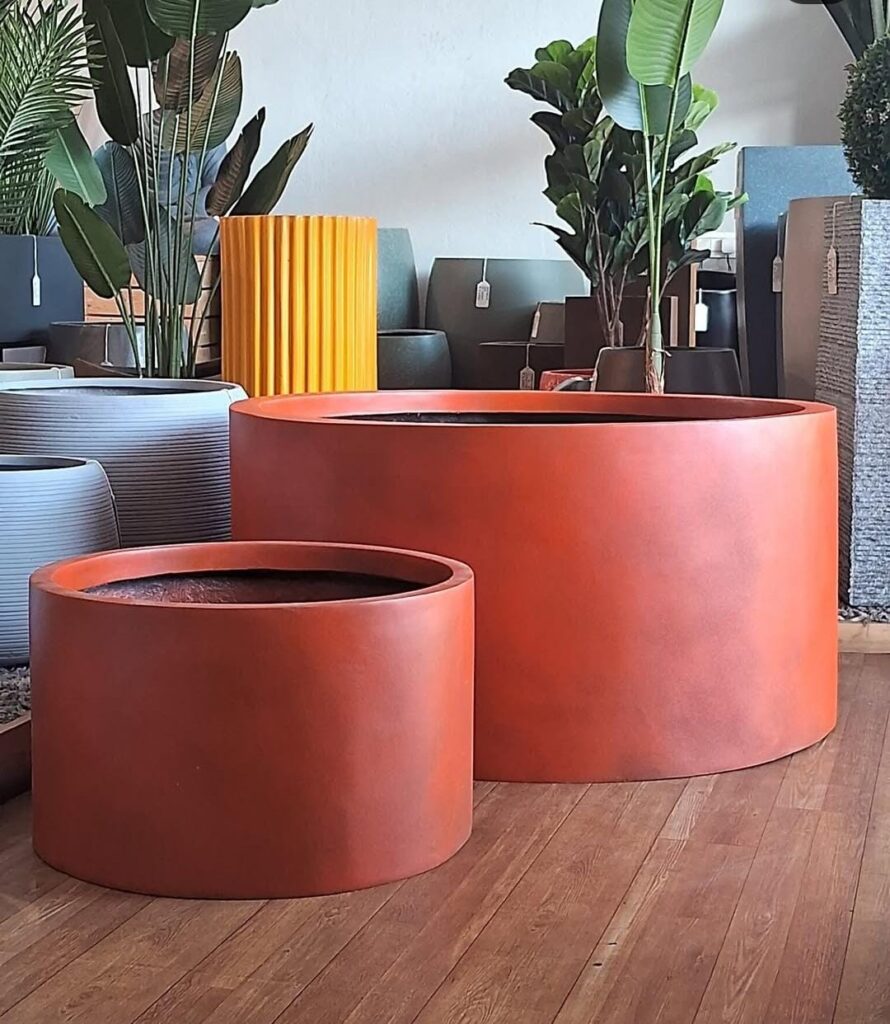 whatsapp image 2025 12 09 at 8.26.12 am