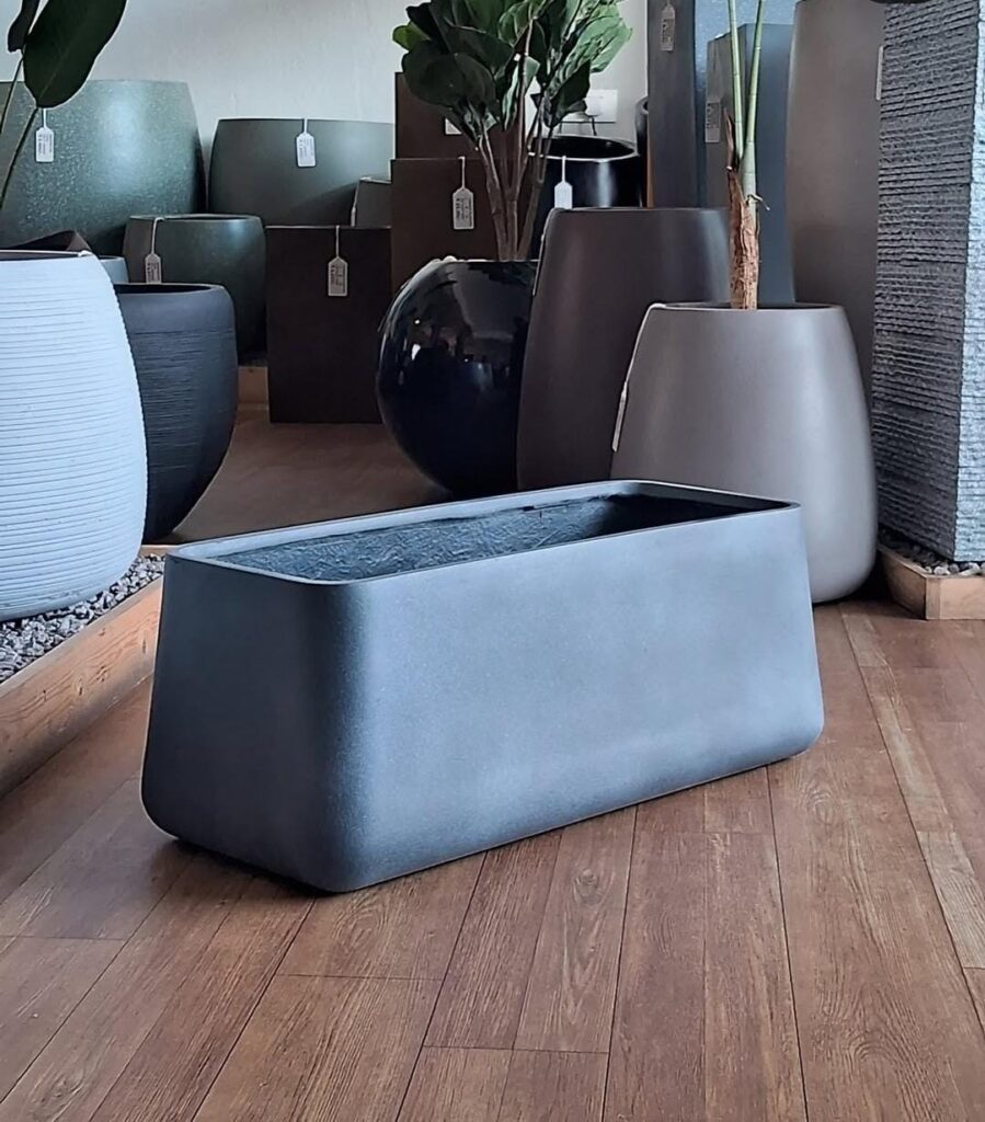 whatsapp image 2025 12 09 at 8.26.26 am